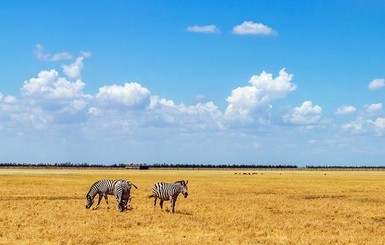 Первый в мире заповедник 