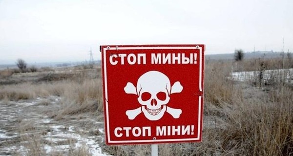 Государство выделило 500 тысяч гривен на украинский стартап по разминированию