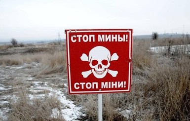 Государство выделило 500 тысяч гривен на украинский стартап по разминированию