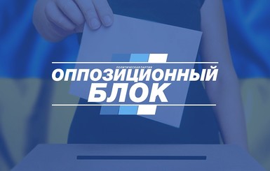 Пересчет голосов подтвердил победу Виктории Гриб на 105 округе