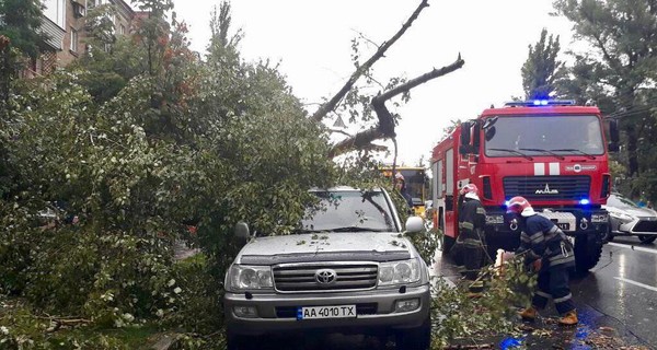 В Ровенской области на улице ветром оборвало провод: током убило женщину