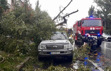 В Ровенской области на улице ветром оборвало провод: током убило женщину