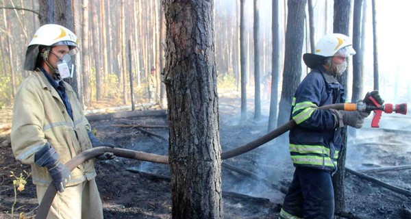 В Чернобыле третьи сутки не прекращается пожар