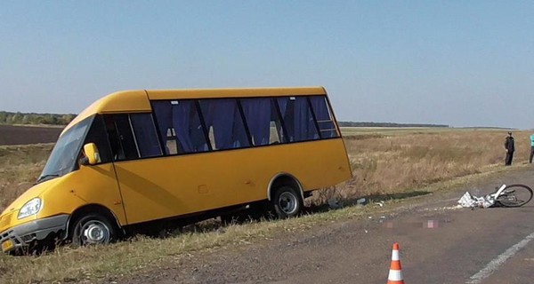 В Житомирской области маршрутка задавила велосипедиста