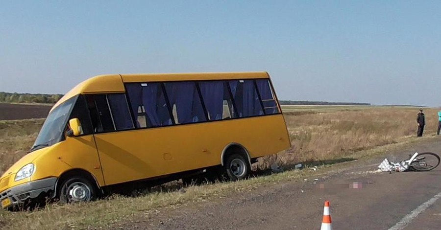 В Житомирской области маршрутка задавила велосипедиста