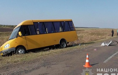 В Житомирской области маршрутка задавила велосипедиста