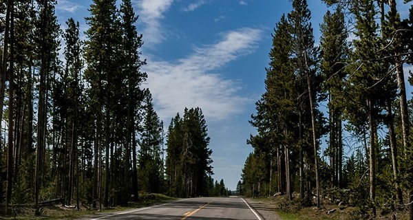 В Украине построят три платные дороги