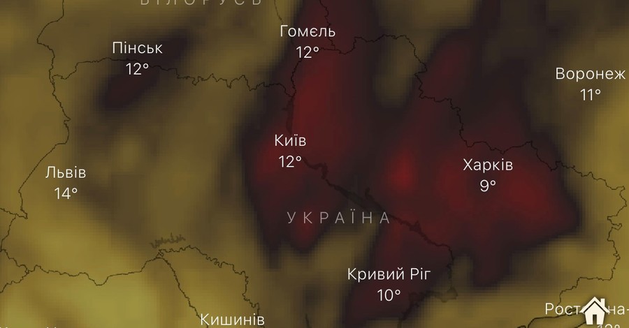 Премьер опроверг аномальное загрязнение воздуха, о котором пишут в сети