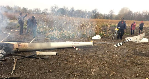 В авиакатастрофе на Полтавщине погиб экс-министр аграрной политики Украины