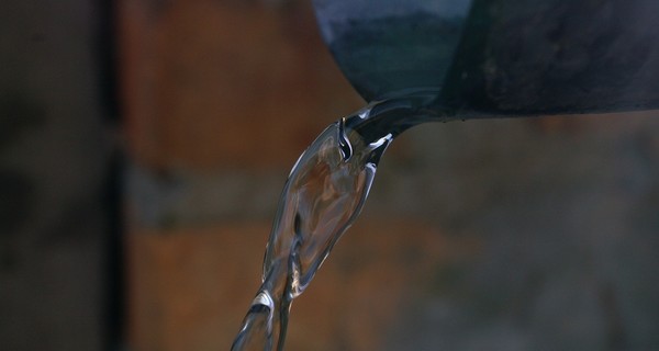 Чудо природы: в Каменском из дерева льется вода