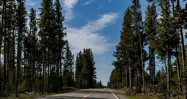 Гончарук нашел деньги на реконструкцию трассы Киев - Одесса и строительство объездной дороги вокруг Львова