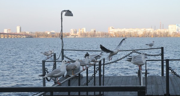 9 декабря - Юрьев день. Что можно, чего нельзя и о чем говорит сегодняшняя погода