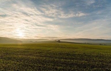 В Одесской области под землей нашли пакеты с расчлененным телом 