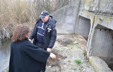 В реке Орель на Днепропетровщине массово гибнет рыба