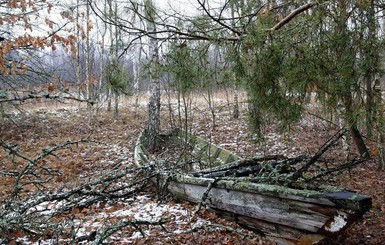 Синоптик рассказала, какой будет погода на Крещение