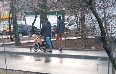 В ответ Брагару: в соцсетях показали хозяев, готовых на все ради своих больных питомцев