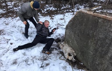 На Сумщине мужчина пытался средь бела дня задушить пса