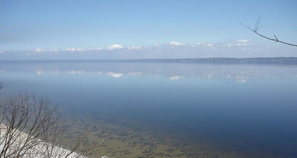 В Апостолово Днепропетровской области из-за пестицидов в воде закрыли все школы и садики