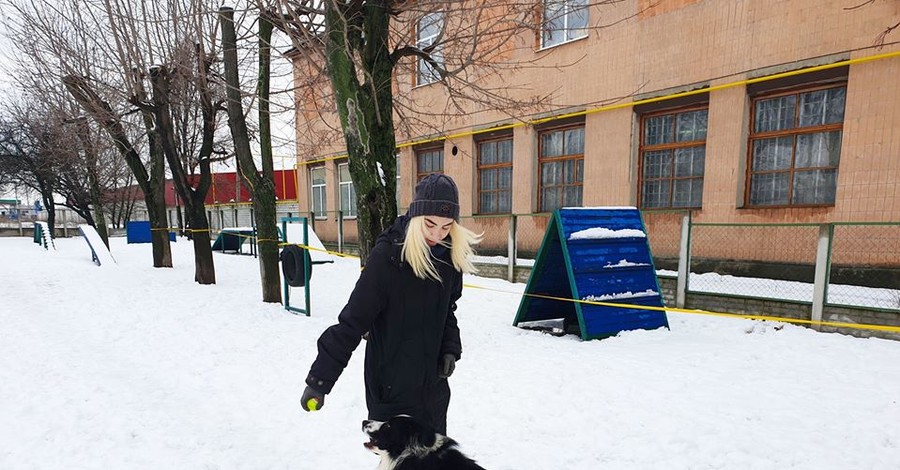 В харьковский приют для животных взяли на работу 