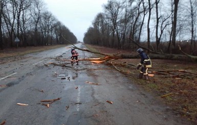 Непогода в Украине вызвала задержки движения 5 поездов