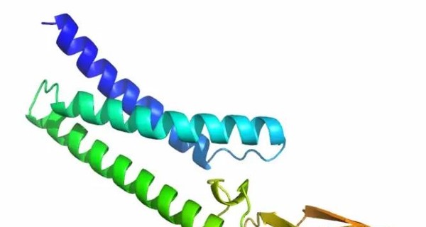 Искусственный интеллект начал борьбу с коронавирусом