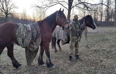 На Буковине конные всадники пытались вывезти сигареты в Румынию