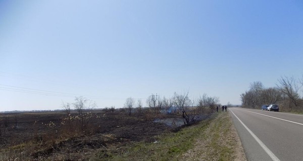 В Приднестровском национальном природном парке сгорело 10 гектаров из-за поджигателей травы