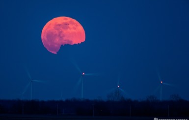 Розовая Луна поможет принять важные решения и вернуть былую любовь  