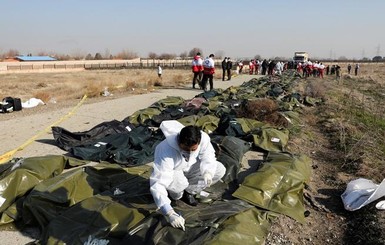 Иранский чиновник похвалил военных за сбитый самолет МАУ: Украина потребовала объяснений