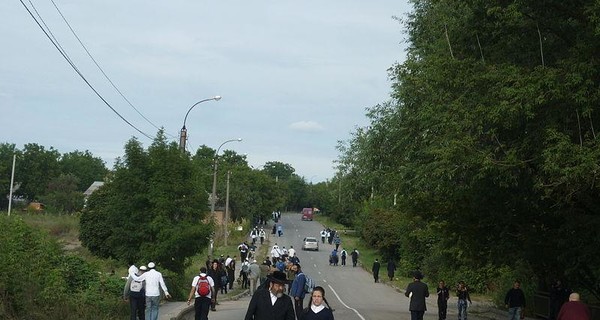 Хасидов призвали отказаться от паломничества в Умань