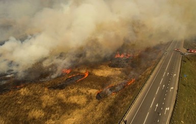 В Раде предлагают увеличить штрафы за поджоги сухой травы