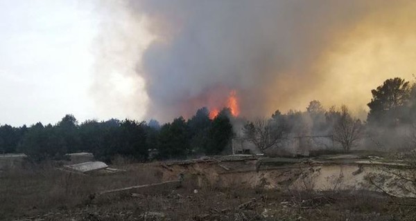 На Киевщине военные и авиация тушили полигон Девички