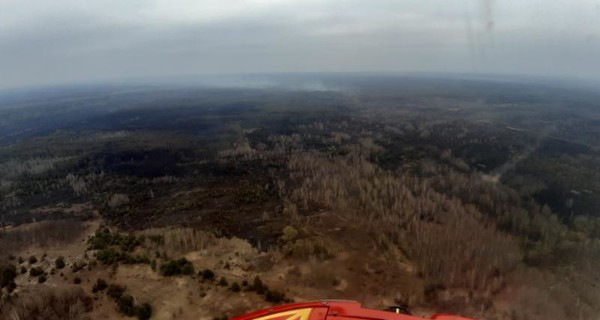 В Чернобыльской зоне отчуждения обнаружены новые очаги тления