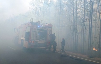 Пожары на Житомирщине: жителей сгоревших сел эвакуировали