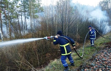 На Житомирщине пожар уничтожил 39 домов