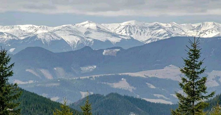 Ночные заморозки вернулись в Украину