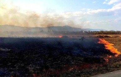 Мужчину, который поджег Долину нарциссов, будут судить