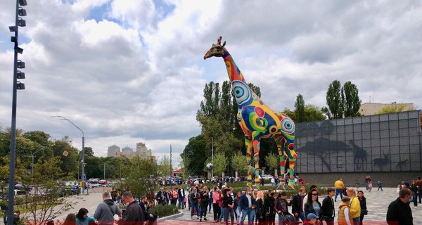 У киевского зоопарка - очереди в первые после карантина выходные