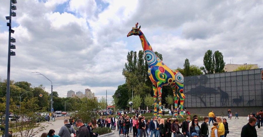 У киевского зоопарка - очереди в первые после карантина выходные