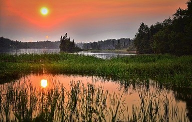 В Польше погибли двое украинцев: тела заробитчан нашли на дне озера