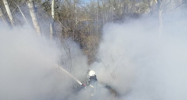 В Киеве серьезно пострадал от пожара Труханов остров 