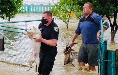 На Буковине и Прикарпатье затоплены 9 районов. Введены чрезвычайные меры безопасности