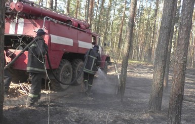 Чернобыльская зона снова горит 