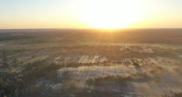 Военные продолжают тушить тлеющую древесину в Луганской области