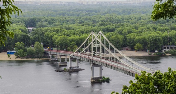 В Днепре поселились медузы и рыба-игла