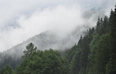 На выходных Украину ждет больше дождей