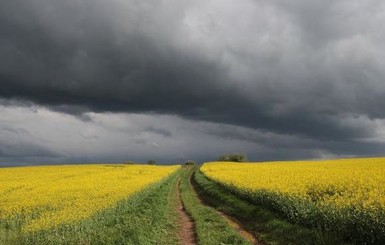 Синоптики предупредили о ливнях и грозах в первый день осени: каким регионам готовиться