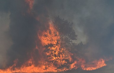 Пожары в Харьковской и Луганской областях: пропавшего во время тушения военного нашли мертвым