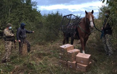 Контрабандист пытался вьючной лошадью провезти в Украину из России табак для кальяна