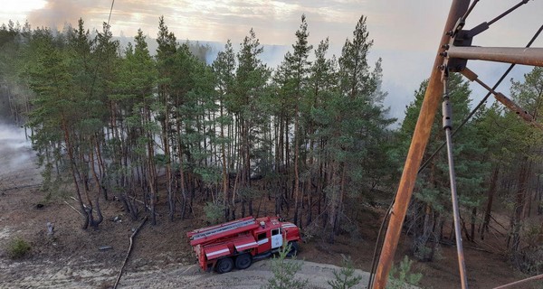 Пожары в Луганской области: загорелось там, где не ждали